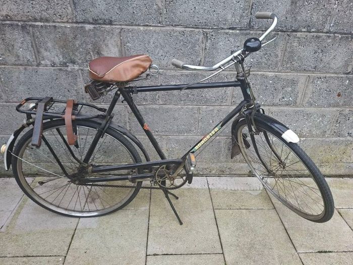 Vintage Roadster Bike