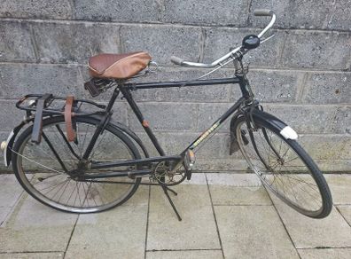 Vintage Roadster Bike