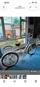 2 adult trike bikes for sale
