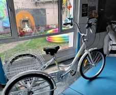 2 adult trike bikes for sale