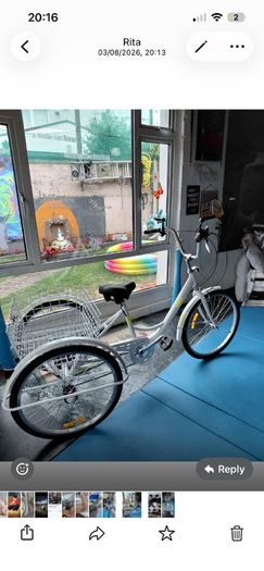 2 adult trike bikes for sale