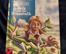 Ladybird Read it yourself (362)