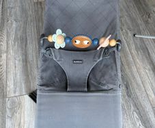 Baby bjorn bouncer