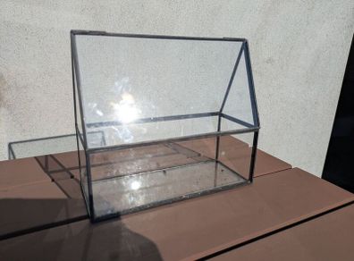 glass plant terrarium