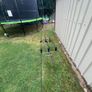 carp fishing 3 rod set up Image 5