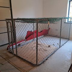 Dog Pen Enclosure