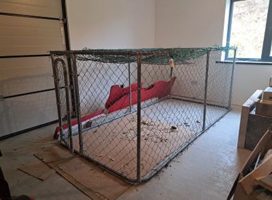 Dog Pen Enclosure