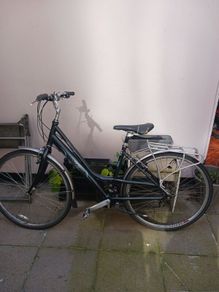 Ladies Bike
