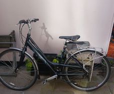Ladies Bike
