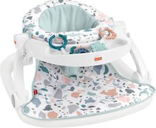 Fisher price baby chair and tray