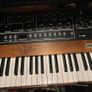 Sequential Prophet-5 (Rev 4) - Immaculate Updated Image 3
