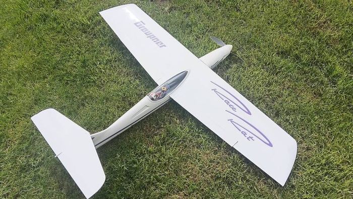 RC model plane