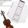Violin 4/4 Full Size for Beginners with Fingerboard Sticker, User Manual, Hard Case, Bow, Rosin, Bridge, and Polishing Cloth Image 2