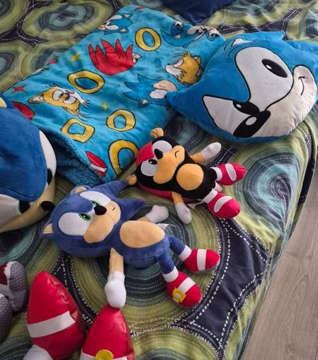 sonic the hedgehog