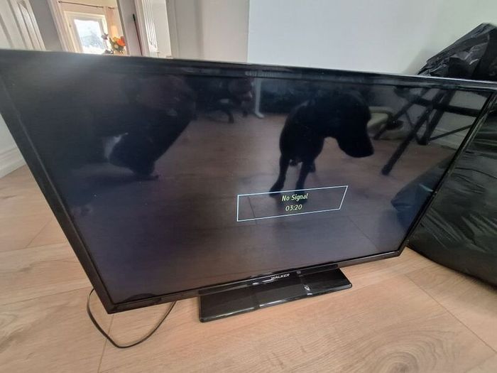 walker tv