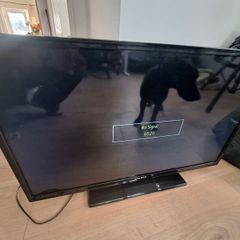 walker tv