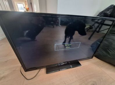 walker tv