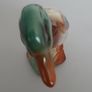 Mallard Duck Image 4