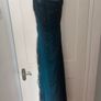 Blue Debs/Maxi Dress Size 10 Image 3