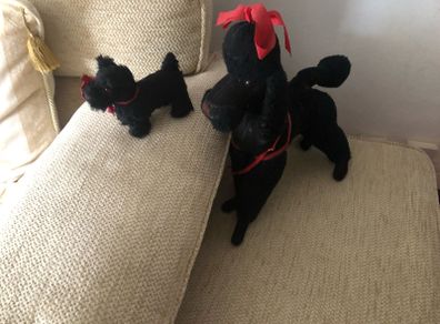 Vintage Toy Poodle & Terrier