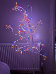 Free Multi coloured tree light