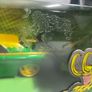 Ford Thunderbird & Loki Image 2