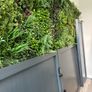 Artificial Wall Grass Image 7