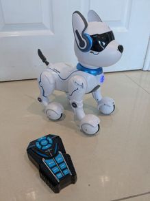 Ziggy Robo Dog