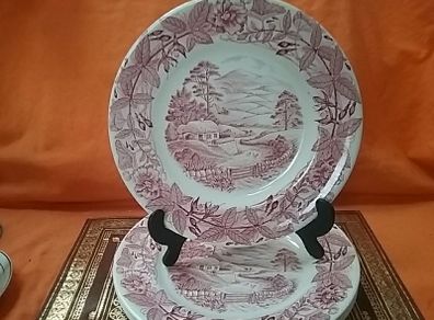 Arklow Plates
