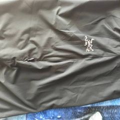 Arc'terix Starke SL joggers