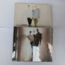CD Everclear Image 2