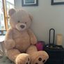 giant teddy Image 3
