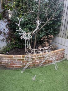 Garden Reindeer