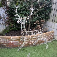 Garden Reindeer