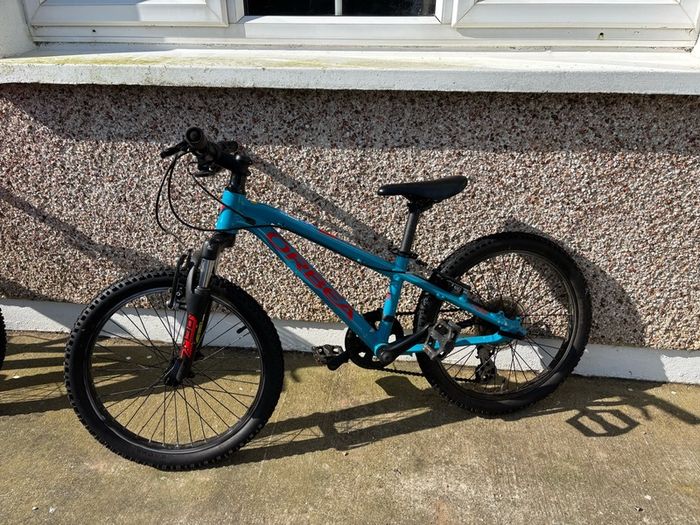 Orbea mountain bike