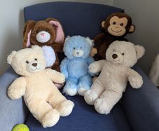 Selection of 5 build-a-bears! Great condition!