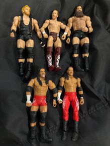 wwe lot