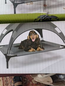 Dog Bed with sun shade