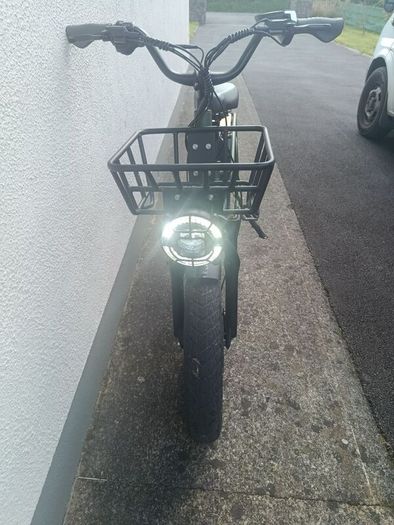 fiido electric bike