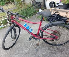 ladies bike