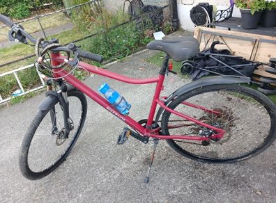 ladies bike