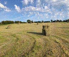 Excellent quality hay for sale!