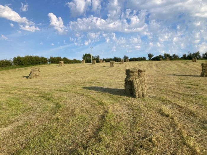 Excellent quality hay for sale!
