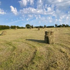 Excellent quality hay for sale!