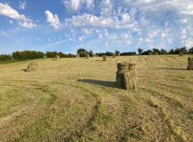 Excellent quality hay for sale!