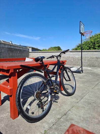 Apollo bicycle