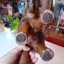 Vintage hardwood elephant plant stand Image 10