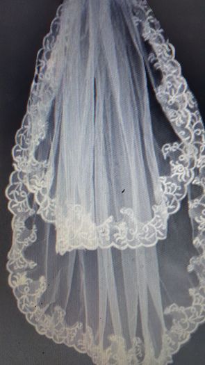 Long Chapel Length Bridal Veil