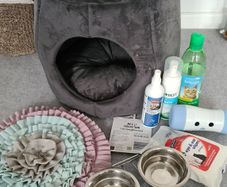 Cat accessories