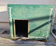 Dog Kennel